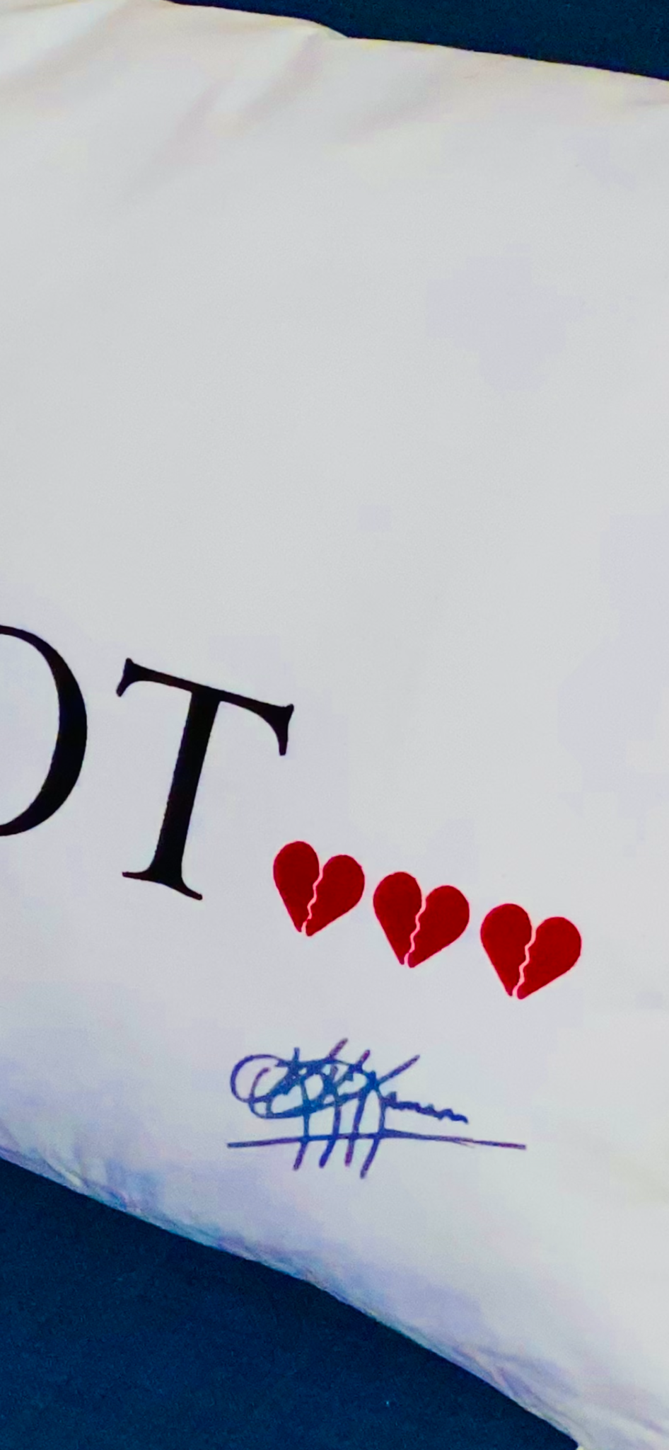Coussin recto verso LOVE YOU/NOT