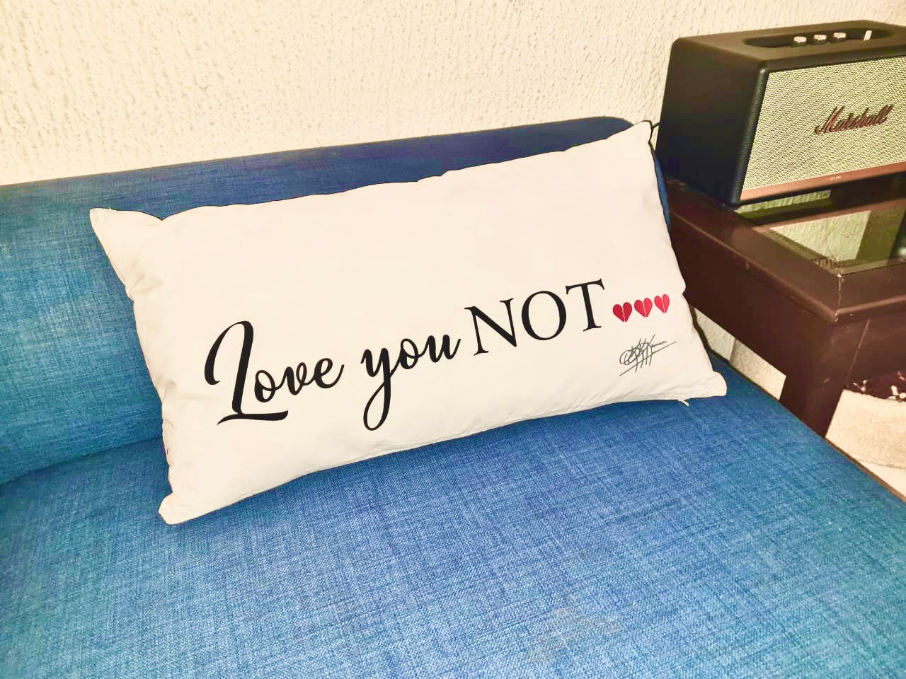 Coussin recto verso LOVE YOU/NOT